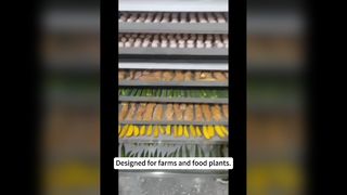 Liofilizador comercial de 100 kg para alimentos
