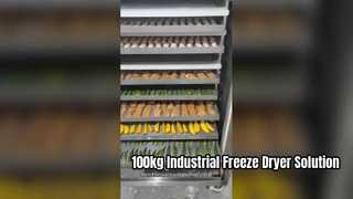 Liofilizador 100kg industrial para produção comercial de alimentos
