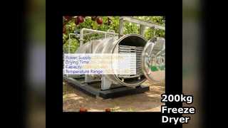 Liofilizador industrial de 200 kg para venda