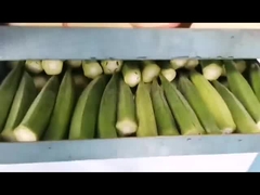 Secador a vácuo e congelador para uso doméstico