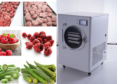 Home Freeze Dryer Alimentos Custo simples de casa freeze dryer vácuo freeze dry