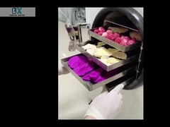 Máquina de secagem por congelamento de laboratório