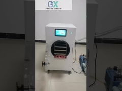 Experimente os benefícios do liofilizador caseiro para a conservação de alimentos