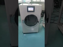 Experimente os benefícios do liofilizador caseiro para a conservação de alimentos