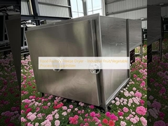 Secador de congelamento de fábrica de alimentos - liofilizador industrial para processamento de frutas e vegetais