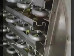 Secador de congelamento de laboratório com câmara 304 SS e vácuo Bosch - liofilizador de precisão