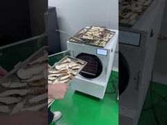 Frutas secas congeladas