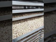 Assista: Construído para Resistência: Vitrine de Processamento de Liofilizadores Industriais de Baixa Manutenção