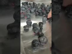 Assista: Secagem de precisão de liofilizador industrial para ingredientes de alto valor, contrato a granel