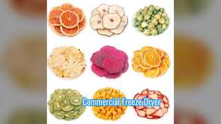 Escala comercial industrial do liofilizador 100KG