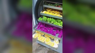 Liofilizador doméstico preserva alimentos, seja bom