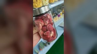 Liofilizador doméstico preserva alimentos rapidamente