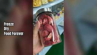 Liofilizador doméstico preserva alimentos frescos