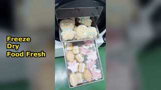 Conserva de liofilizador doméstico Foo