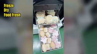 Liofilizador doméstico preserva o frescor dos alimentos