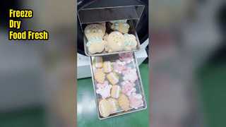 Secador de congelamento doméstico para conservação de alimentos
