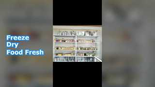 Liofilizador doméstico preserva alimentos facilmente