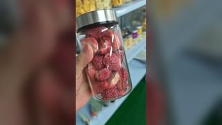 Liofilizador doméstico preserva alimentos