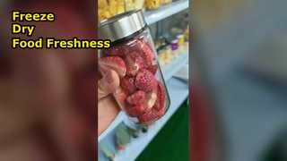 Liofilizador doméstico preserva alimentos maximiza a nutrição