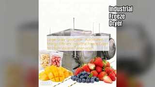 Liofilizador Industrial: Preservação de Alto Volume