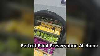 Melhor liofilizador doméstico para armazenamento de alimentos a longo prazo