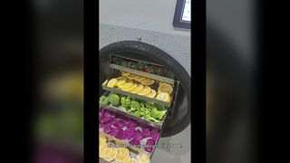 Liofilizador doméstico para armazenamento de alimentos a longo prazo