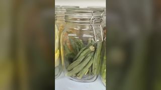 Liofilizador doméstico em conserva de alimentos 25 anos