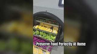 Liofilizador Elite Home preserva alimentos como um profissional