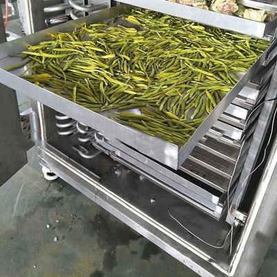 Secador industrial de congelação de alimentos 200 kg/lotação Controlo PLC Ar de arrefecimento