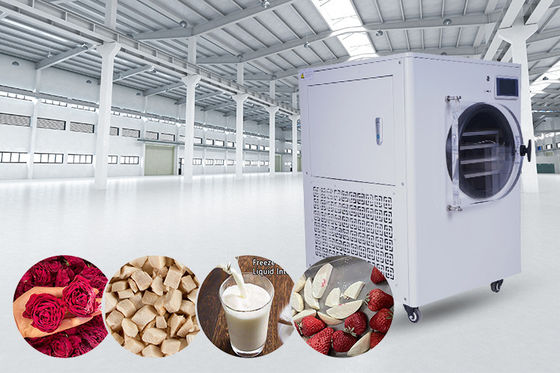 Secador de Congelamento Doméstico com Sistema de Refrigeração Bitzer com Display LCD para Preservação de Alimentos e Doméstica