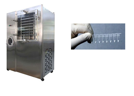 Secador a vácuo Stayfresh 6kg/batch Capacidade automática