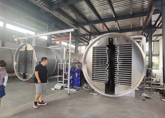 Máquina de secagem por congelamento a vácuo industrial média Alimentos Vegetais
