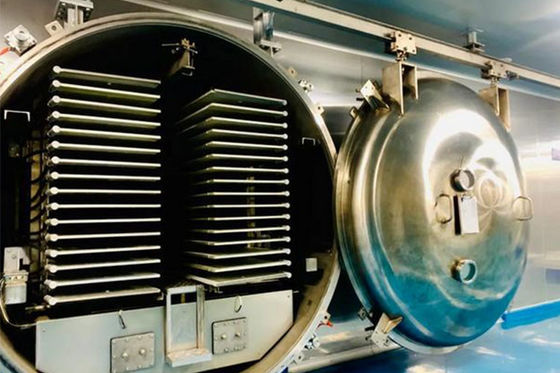 200kg 100Kg Máquina de desidratador de congelamento a vácuo de alimentos
