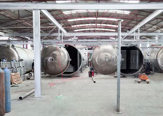 100 kg 200 kg Equipamento industrial de liofilização a vácuo de alimentos