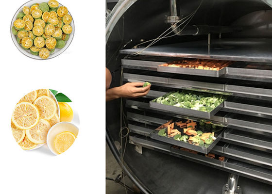 Máquina de desidratador industrial de congelamento de frutas e vegetais 100 kg/lotação