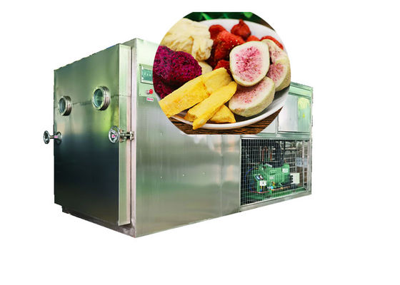 100 kg 200 kg Liofilante controlado por PLC Secador de alimentos a vácuo