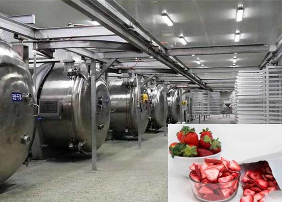 Máquina de secagem por congelamento a vácuo para alimentos de 100 kg