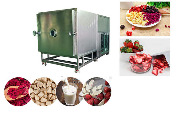 Máquina de secagem por congelamento a vácuo de alta capacidade de alimentos 100 kg/ lote