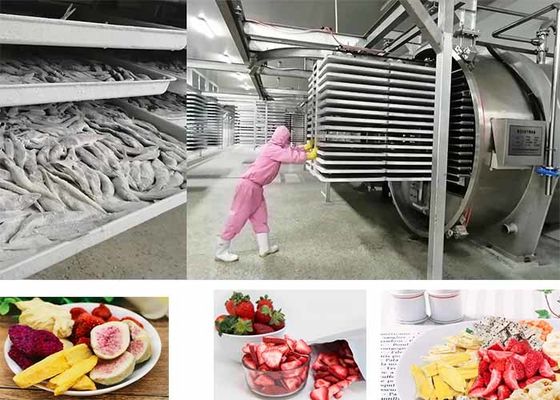 Máquina de secagem por congelamento de alimentos a vácuo controlada por PLC 200 kg/ lote