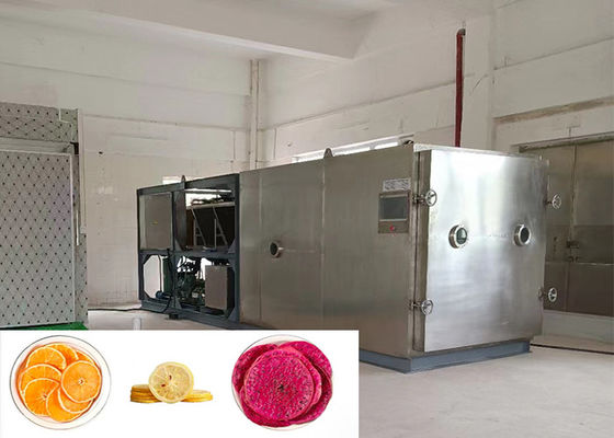 Alimentos Vacuum Vegetal Freeze Dryer Personalizável Grande