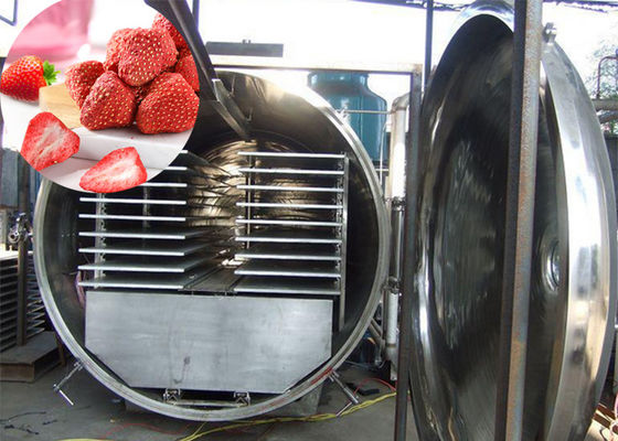 Máquina de congelamento a vácuo de 300 kg