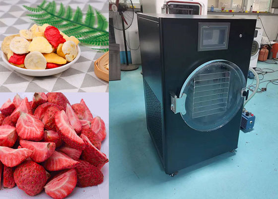 4 kg 6 kg 10 kg Máquina de secagem por congelamento controlada por PLC