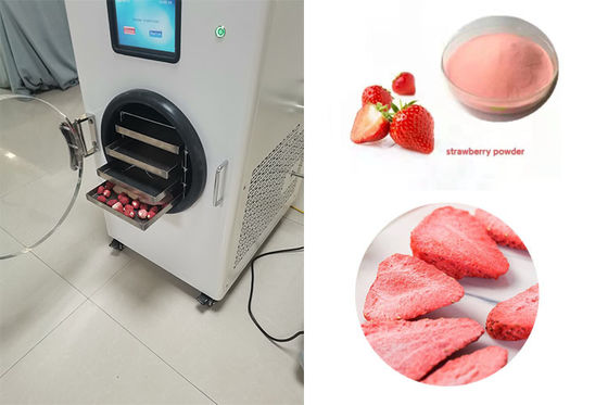 Máquina de secagem por congelamento em aço inoxidável