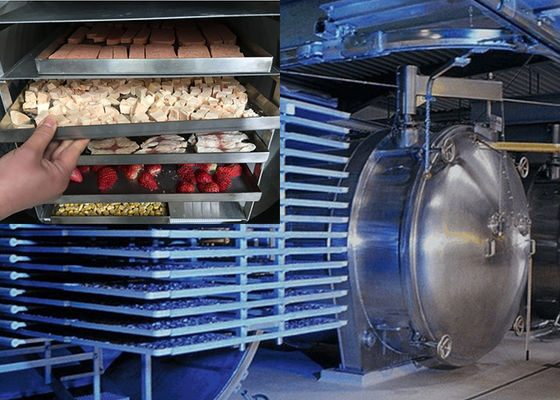 Secador de vácuo e congelador de alimentos de qualidade industrial Liofilante de poupança de energia