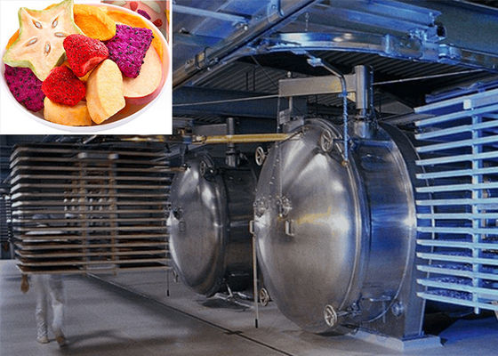 220V/380V/3PH Profissional Secador de Frio a Vácuo de Alimentos para Alto Dessecado