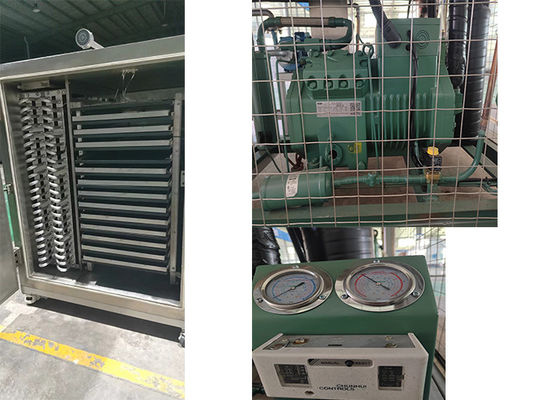 Liofilante Farmacêutico Secador de Congelamento e Secador Elétrico