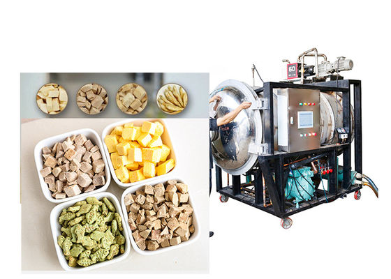 Bitzer Vacuum Scale Industrial Freeze Dryer 300Kg