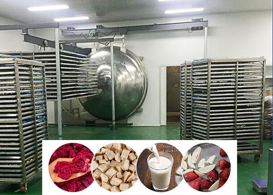 Máquina de secagem por congelamento industrial de alimentos a vácuo 200 kg/ lote