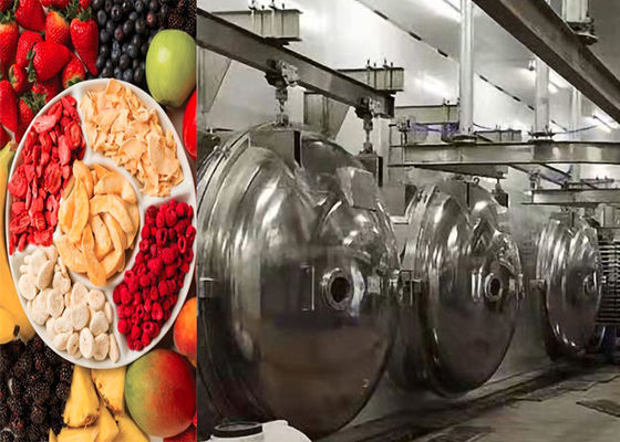 Máquina de secagem por congelamento a vácuo de alimentos industriais 304 aço inoxidável