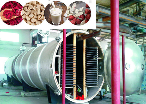400 kg/lotação Secador industrial de alimentos a vácuo